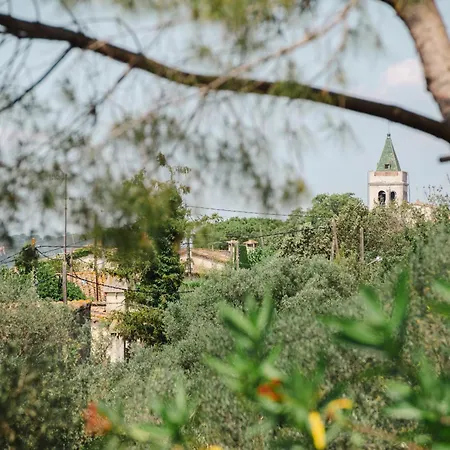 Ca La Gracieta Santa Cristina d'Aro